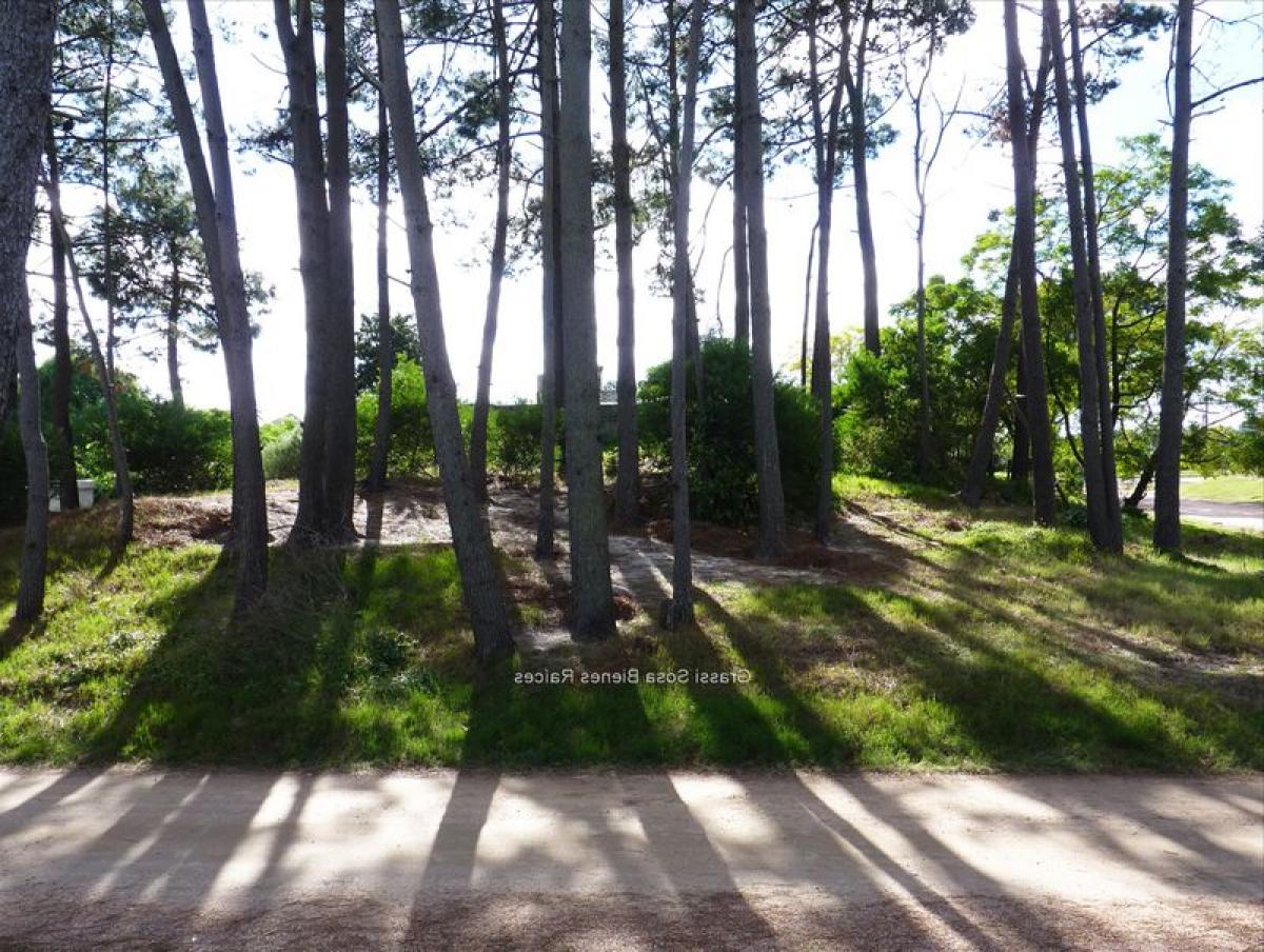Picture of Residential Land For Sale in Canelones, Canelones, Uruguay