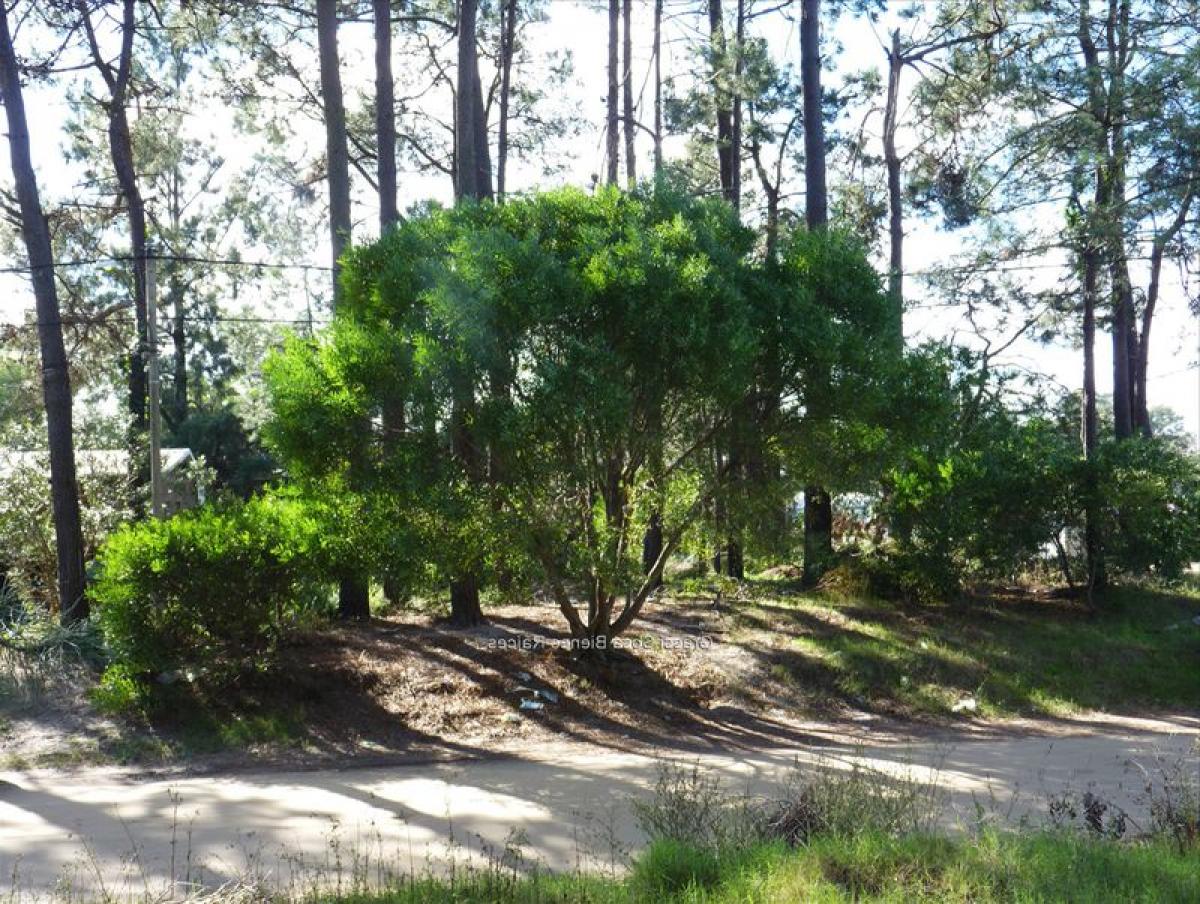 Picture of Residential Land For Sale in Canelones, Canelones, Uruguay