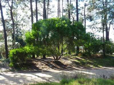Residential Land For Sale in 