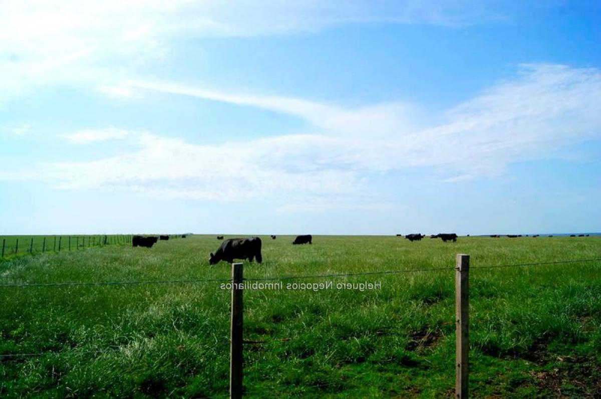 Picture of Home For Sale in Rio Negro, Rio Negro, Uruguay