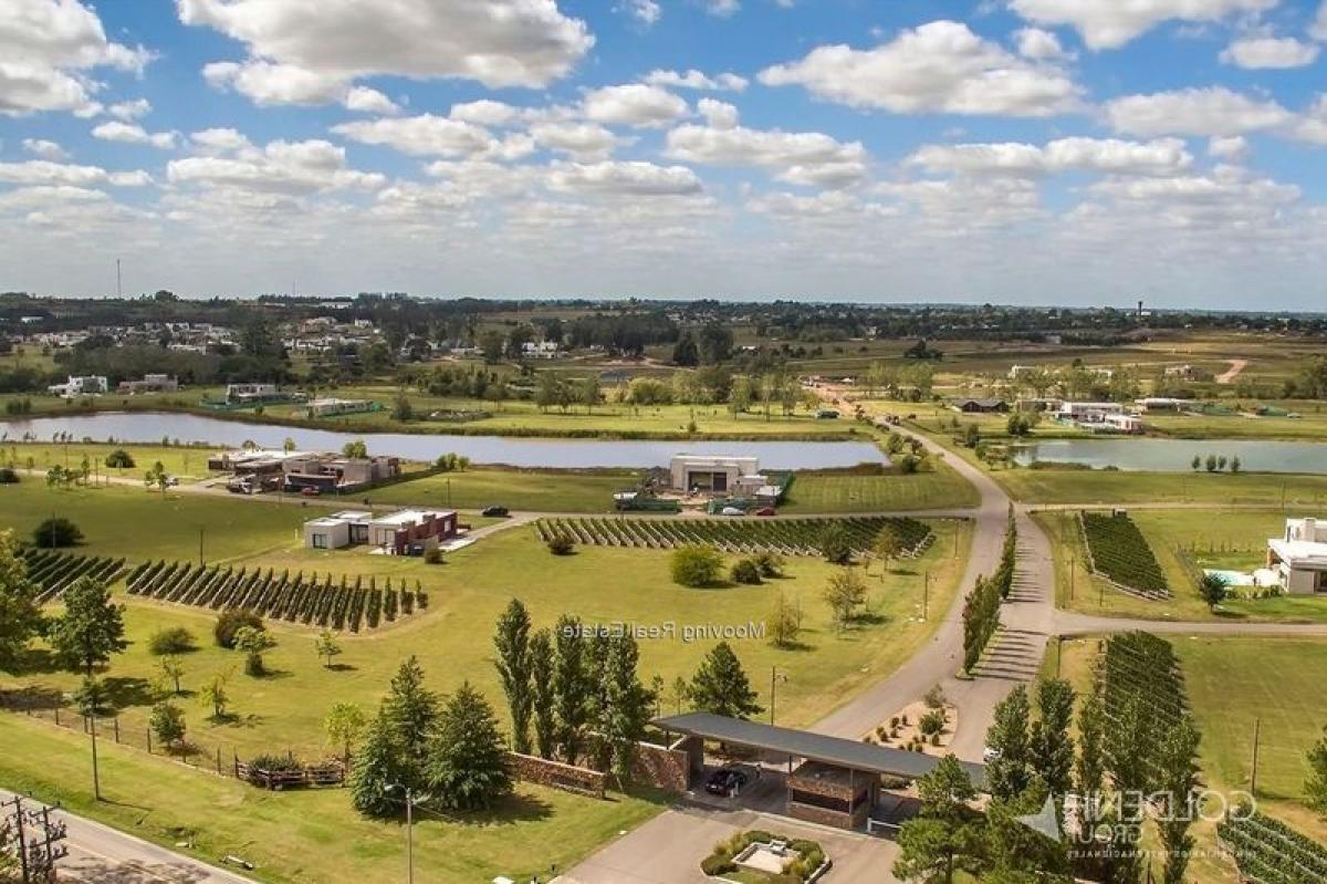 Picture of Residential Land For Sale in Canelones, Canelones, Uruguay