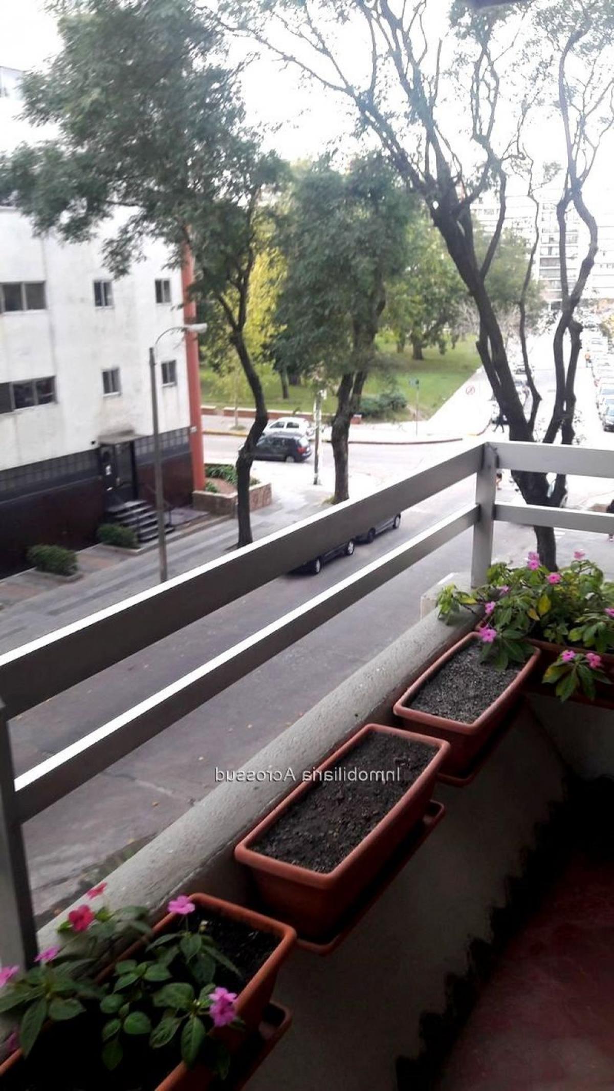 Picture of Apartment For Sale in Montevideo, Montevideo, Uruguay