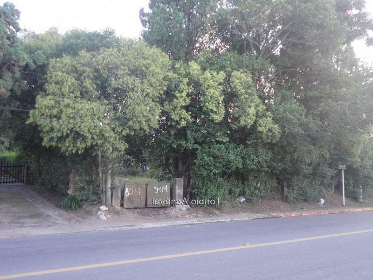 Picture of Residential Land For Sale in Colonia, Colonia, Uruguay