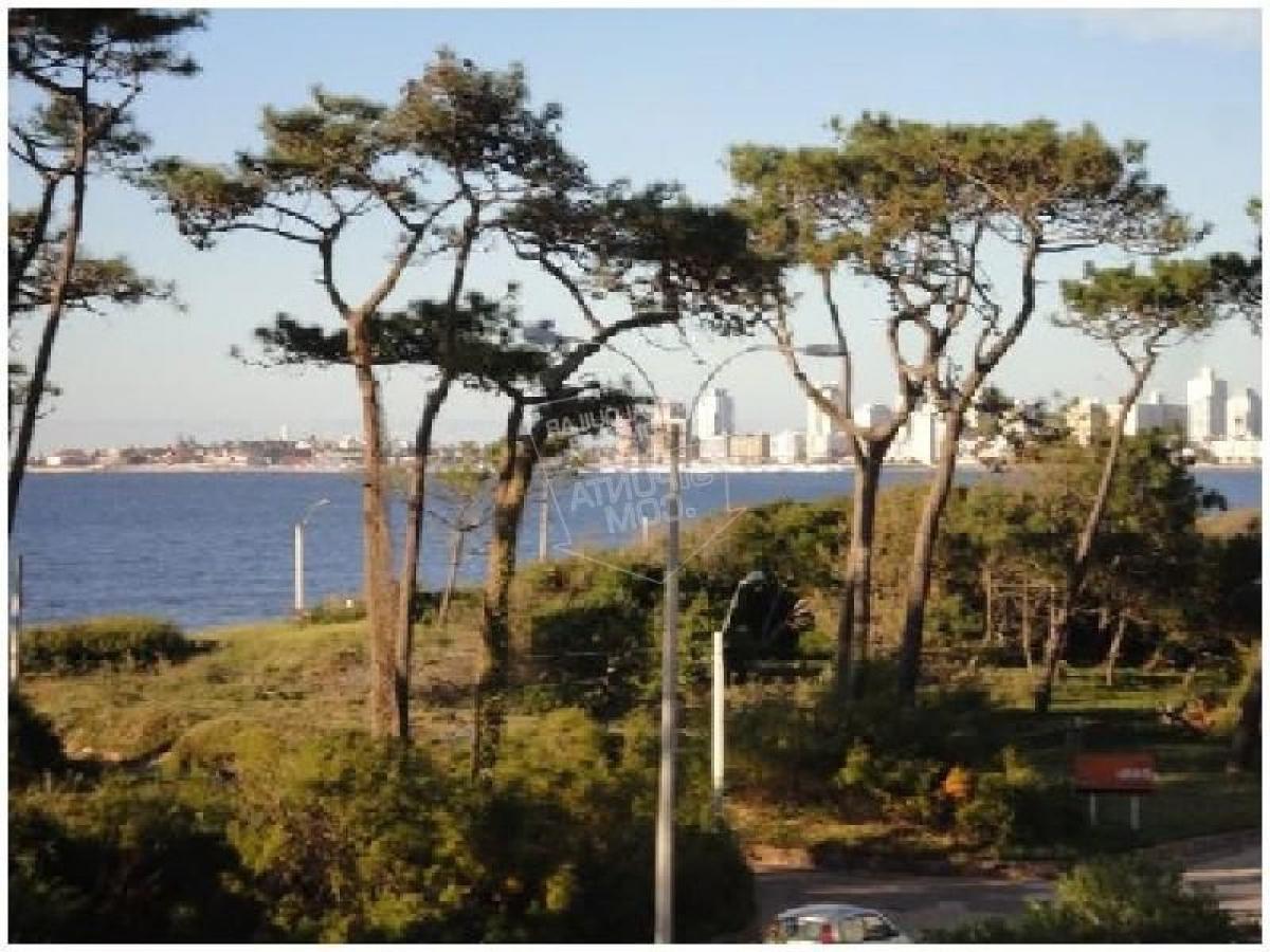 Picture of Apartment For Sale in Punta Del Este, Maldonado, Uruguay