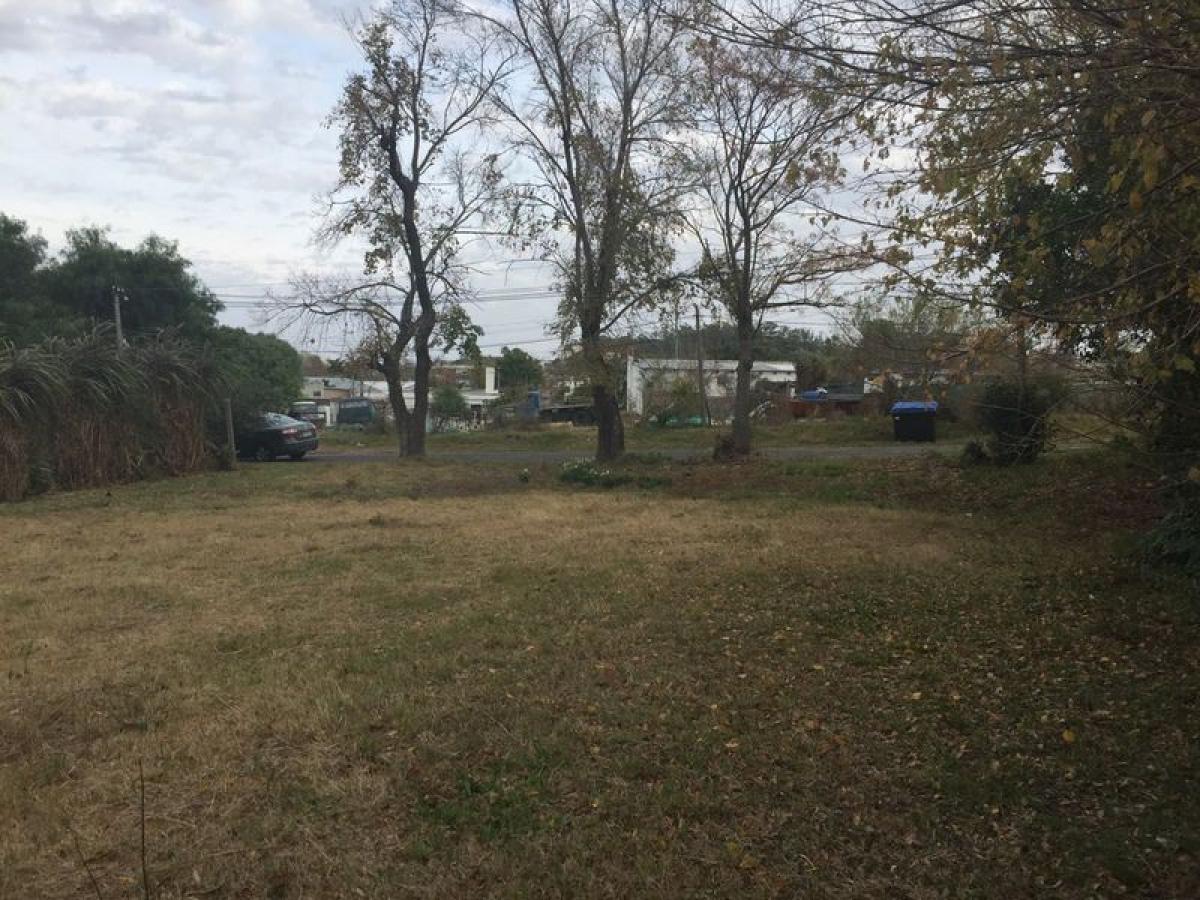 Picture of Residential Land For Sale in Colonia, Colonia, Uruguay