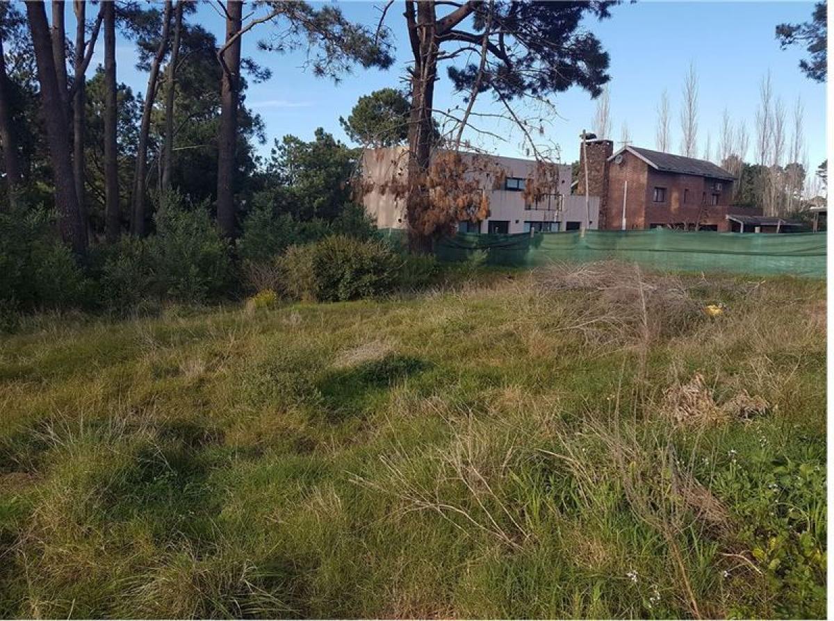 Picture of Residential Land For Sale in Punta Del Este, Maldonado, Uruguay
