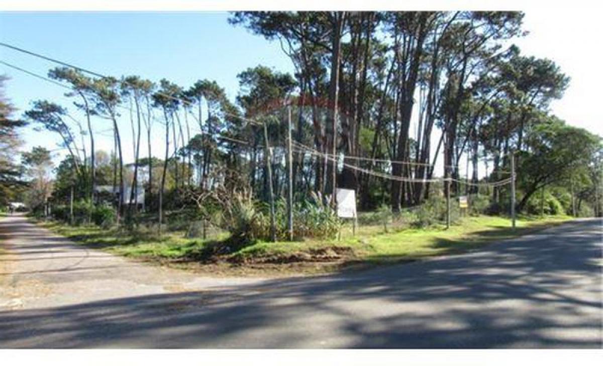 Picture of Residential Land For Sale in Punta Del Este, Maldonado, Uruguay