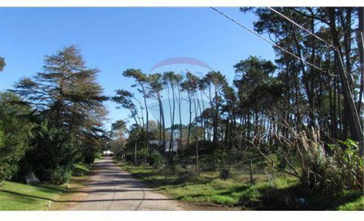 Picture of Residential Land For Sale in Punta Del Este, Maldonado, Uruguay