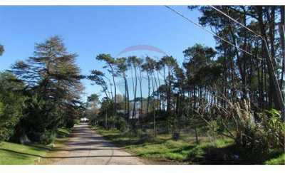 Residential Land For Sale in 