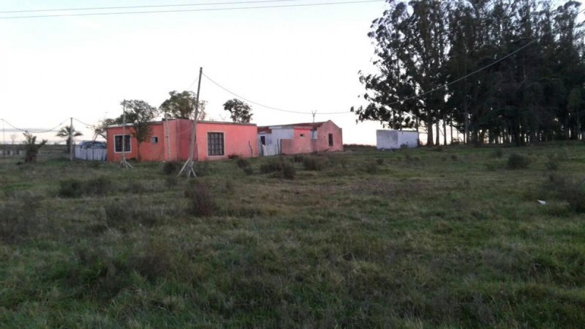 Picture of Farm For Sale in Maldonado, Maldonado, Uruguay