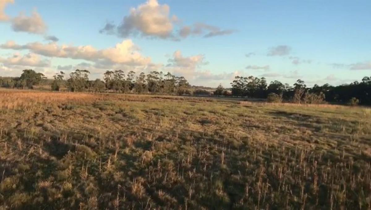 Picture of Residential Land For Sale in Maldonado, Maldonado, Uruguay