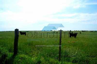 Home For Sale in Rio Negro, Uruguay