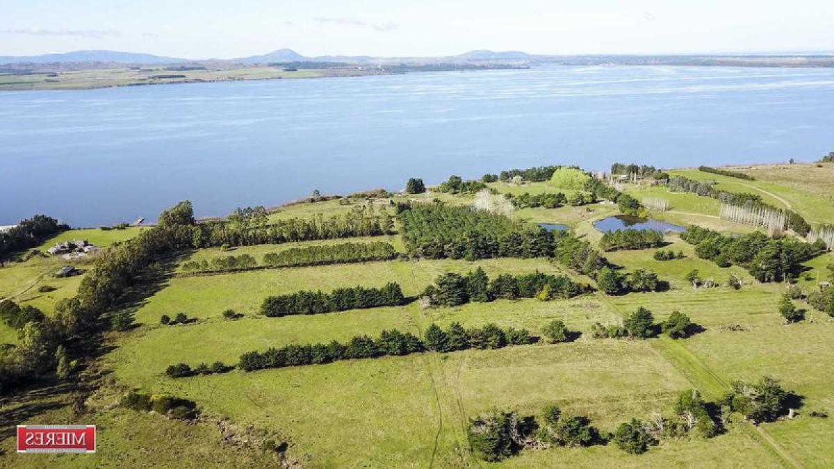 Punta del Este, Maldonado, Maldonado, Uruguay Farm For Sale at GLOBAL