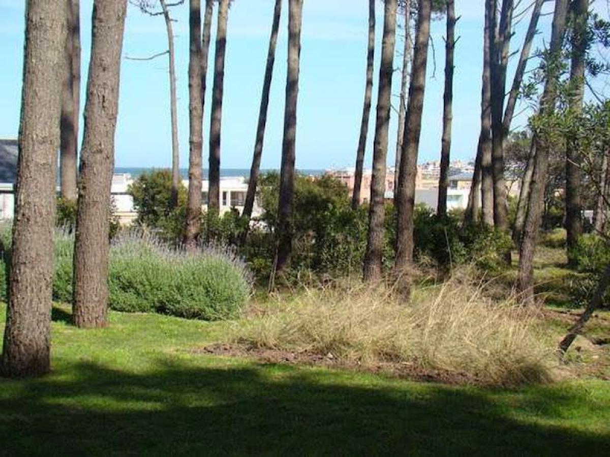 Picture of Home For Sale in Maldonado, Maldonado, Uruguay