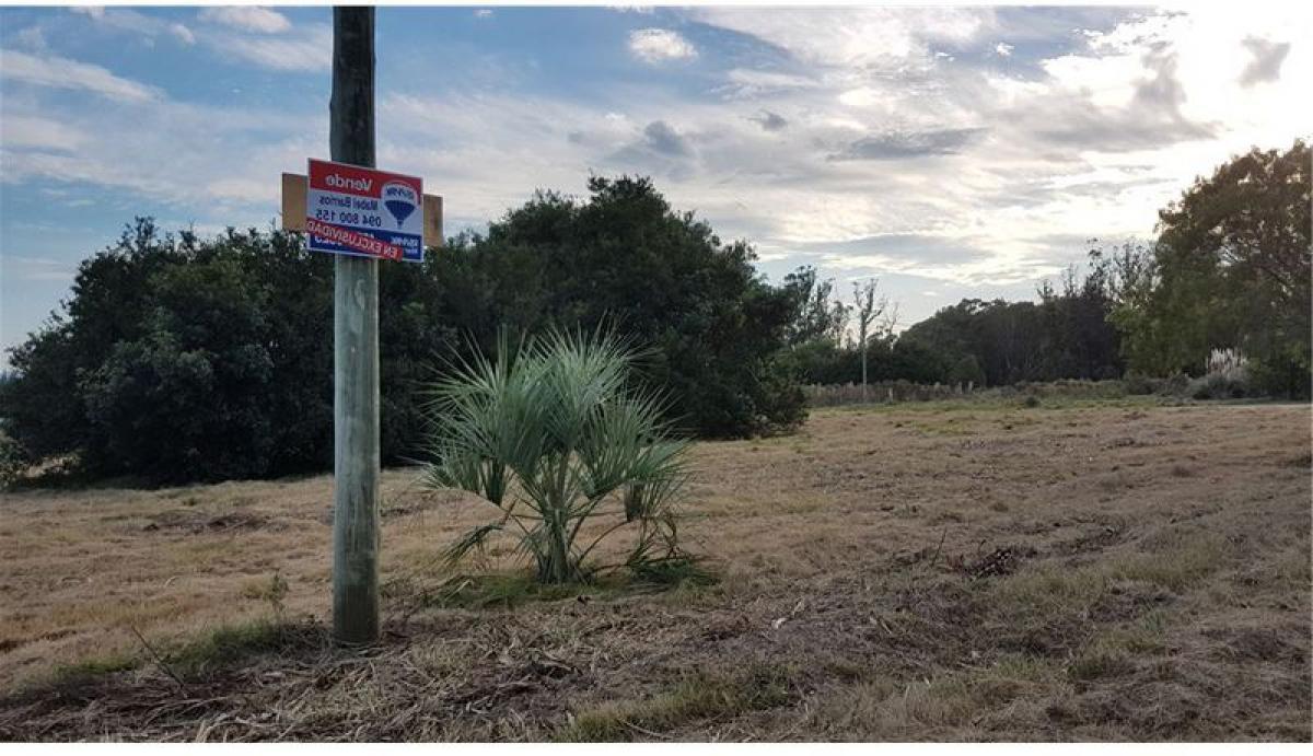 Picture of Residential Land For Sale in Maldonado, Maldonado, Uruguay