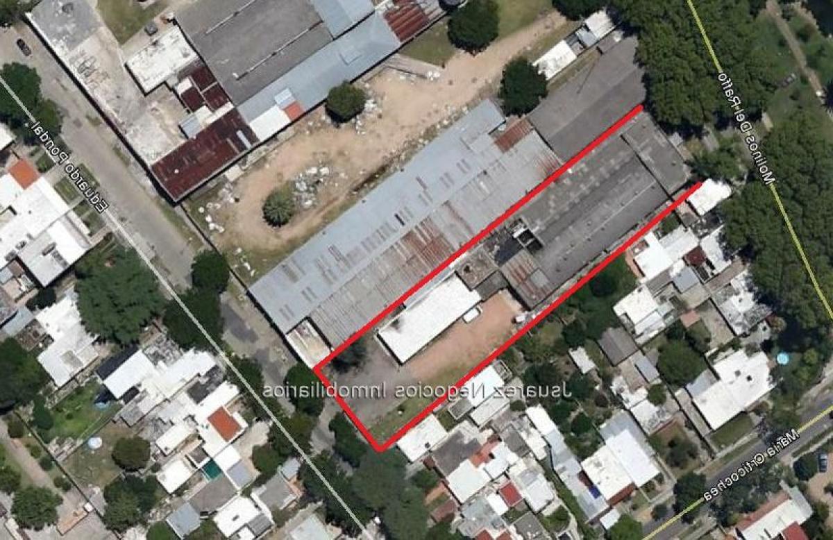 Picture of Apartment Building For Sale in Montevideo, Montevideo, Uruguay