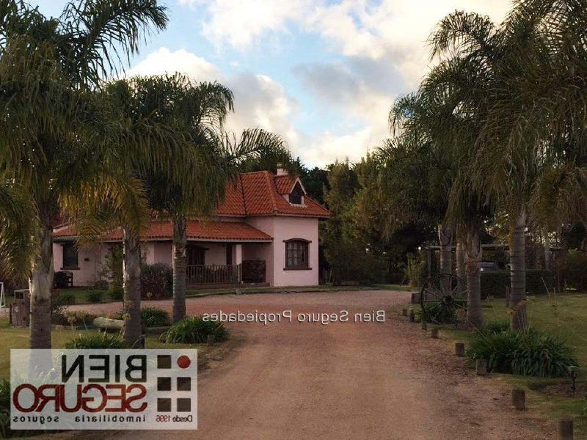 Paso de la Arena, Montevideo, Montevideo, Uruguay Homes For Sale at