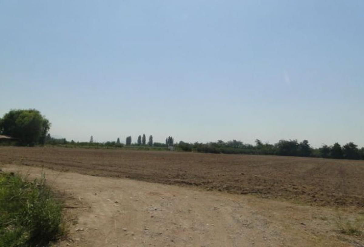 Picture of Residential Land For Sale in Maipo, Region Metropolitana
, Chile