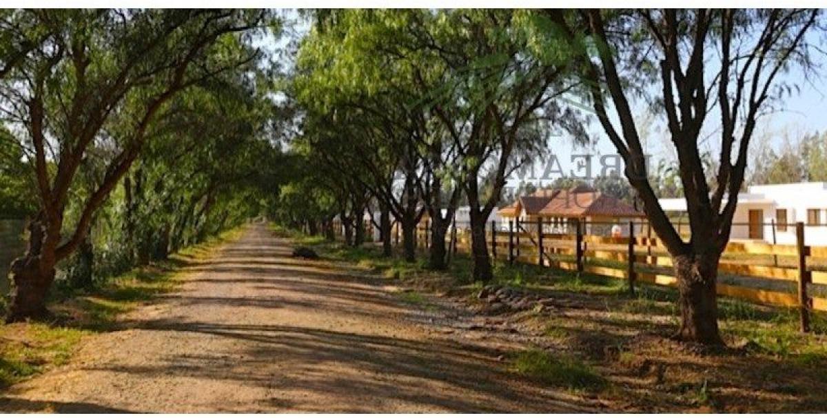 Picture of Home For Sale in Talagante, Region Metropolitana
, Chile