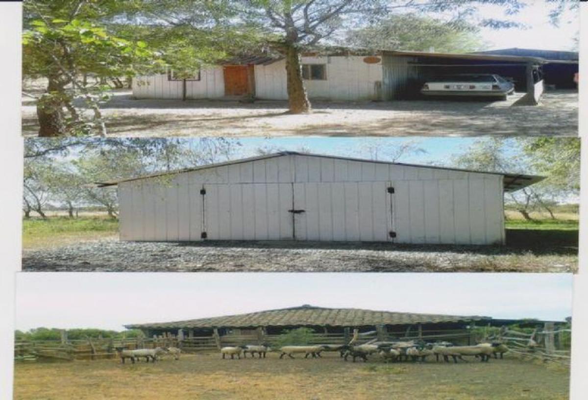 Picture of Residential Land For Sale in Region Del Bio Bio, Bio Bio, Chile