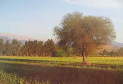 Residential Land For Sale in Chacabuco, Chile