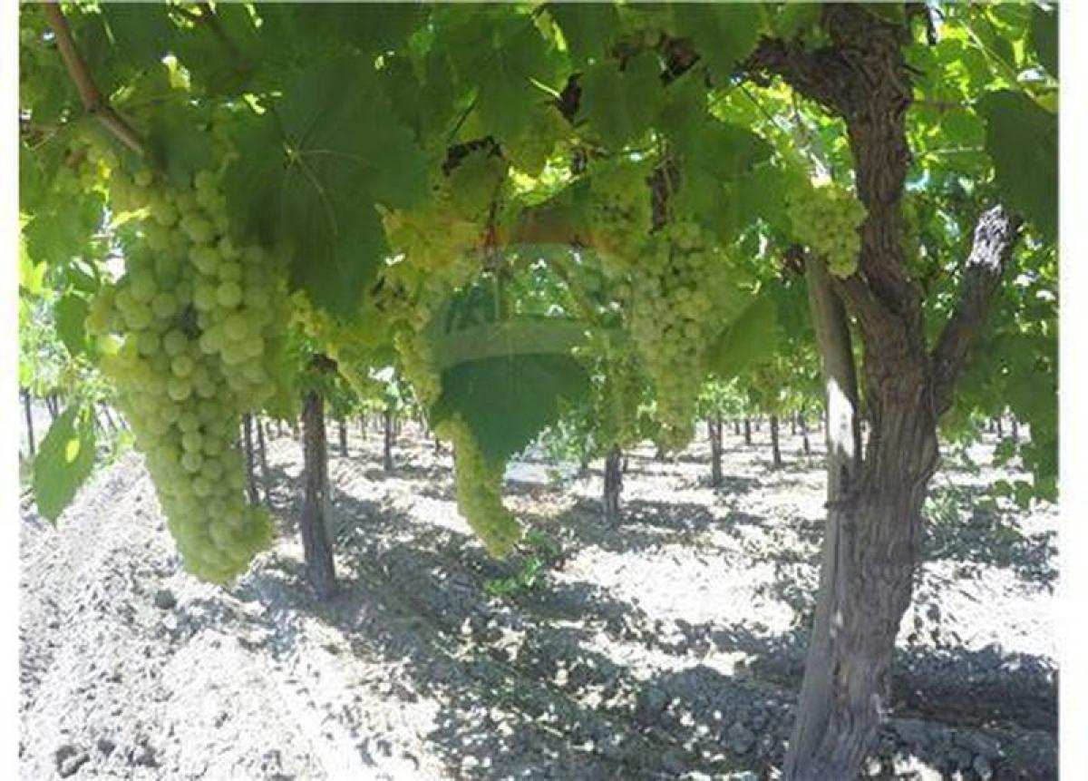 Picture of Residential Land For Sale in Region De Valparaiso, Valparaiso, Chile