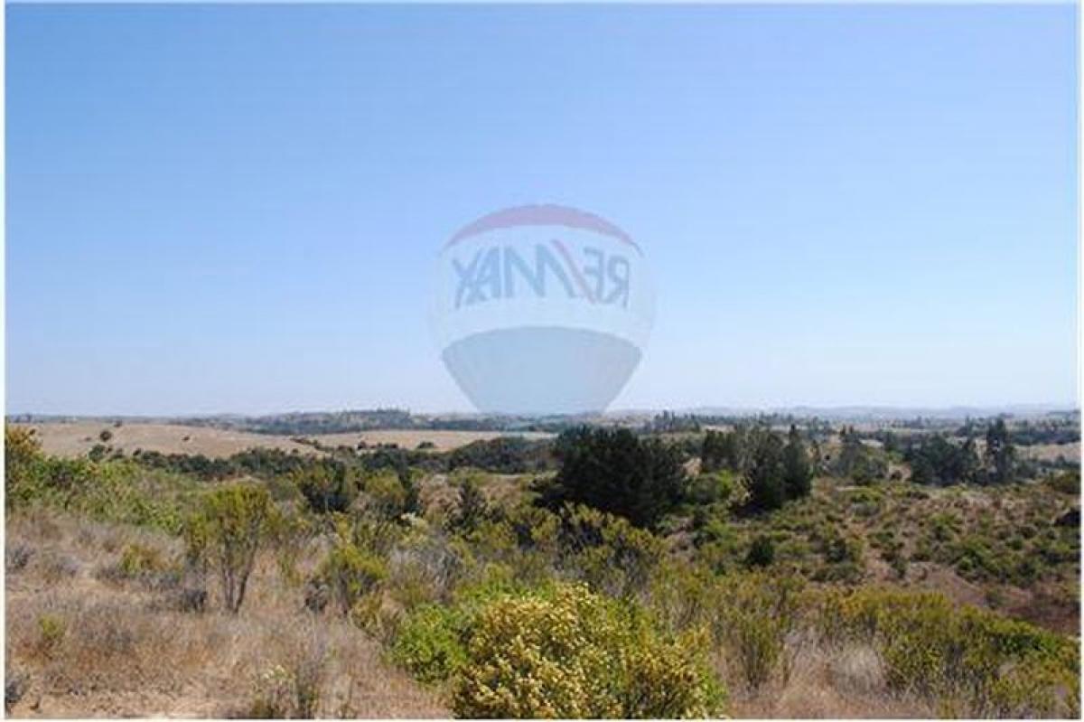 Picture of Residential Land For Sale in Region De O'Higgins, O'Higgins, Chile