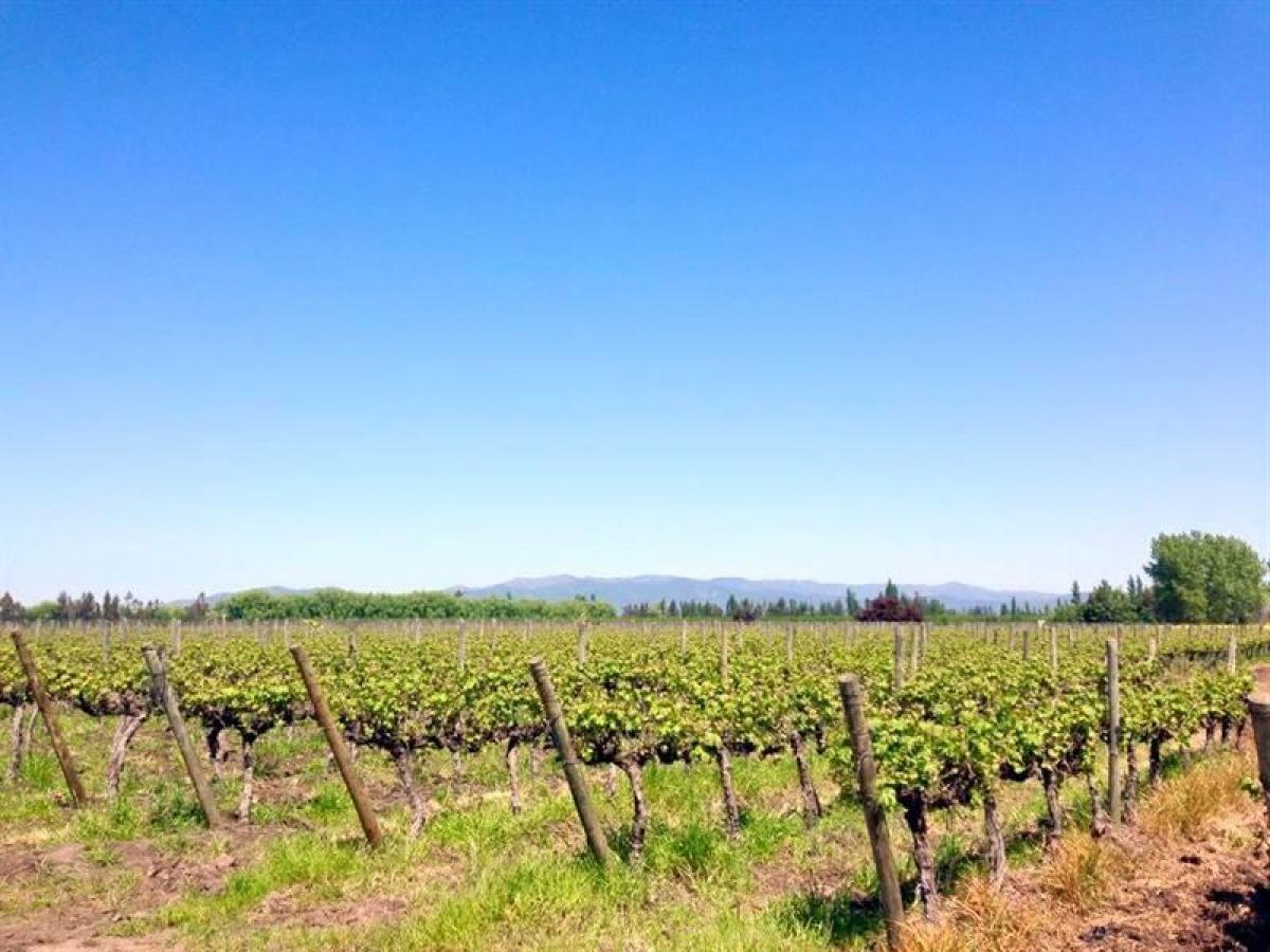 Picture of Residential Land For Sale in Region De O'Higgins, O'Higgins, Chile