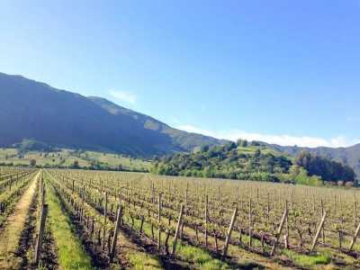 Home For Sale in Region De O'Higgins, Chile