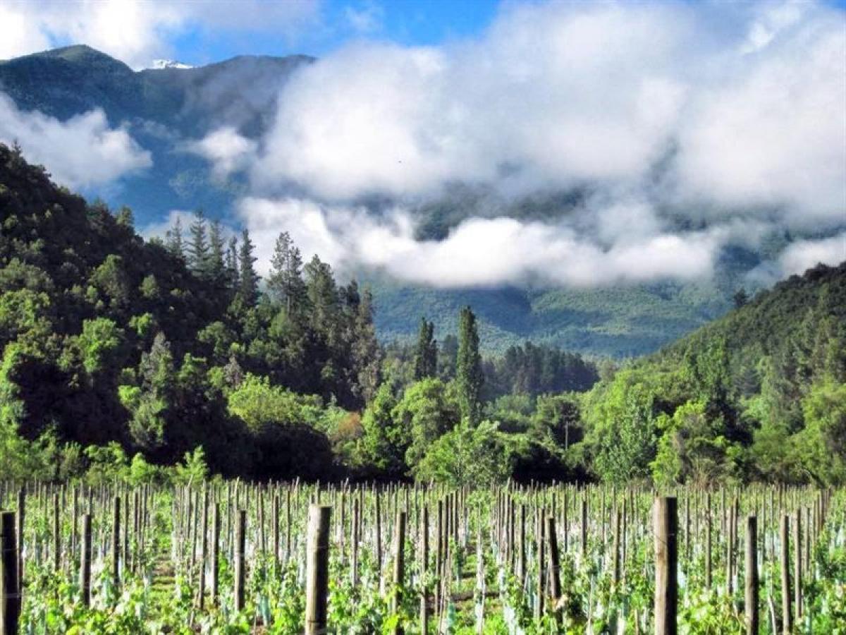 Picture of Residential Land For Sale in Region De O'Higgins, O'Higgins, Chile