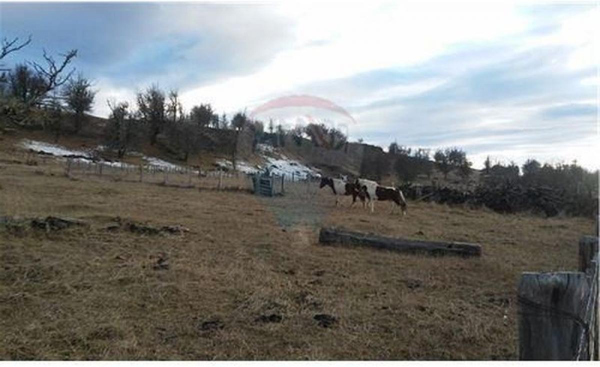 Picture of Residential Land For Sale in Region De Aysen, Aisen, Chile