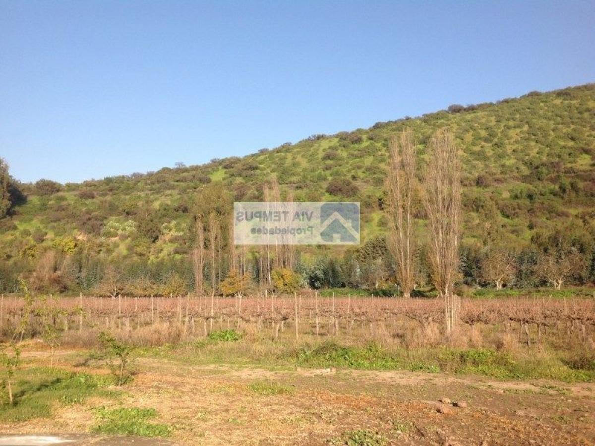 Picture of Residential Land For Sale in Talagante, Region Metropolitana
, Chile