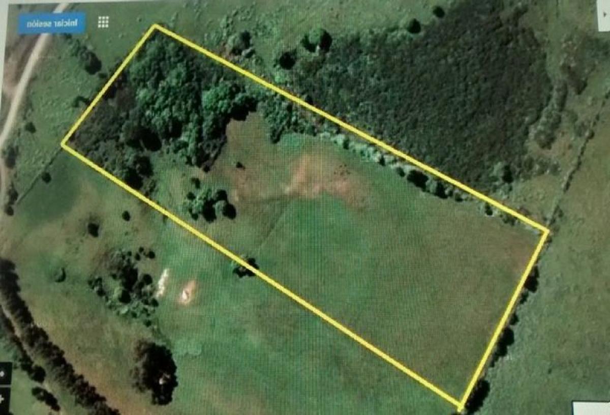 Picture of Residential Land For Sale in Region De Los Rios, Los Rios, Chile