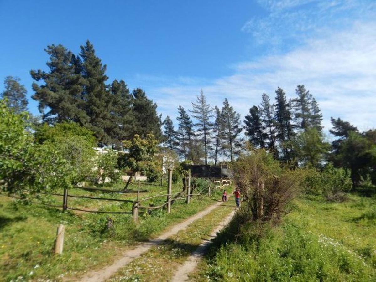 Picture of Residential Land For Sale in Region De Valparaiso, Valparaiso, Chile