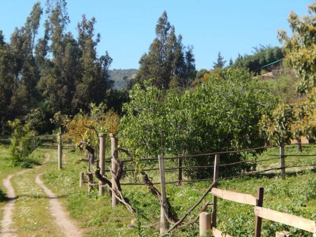 Picture of Residential Land For Sale in Region De Valparaiso, Valparaiso, Chile