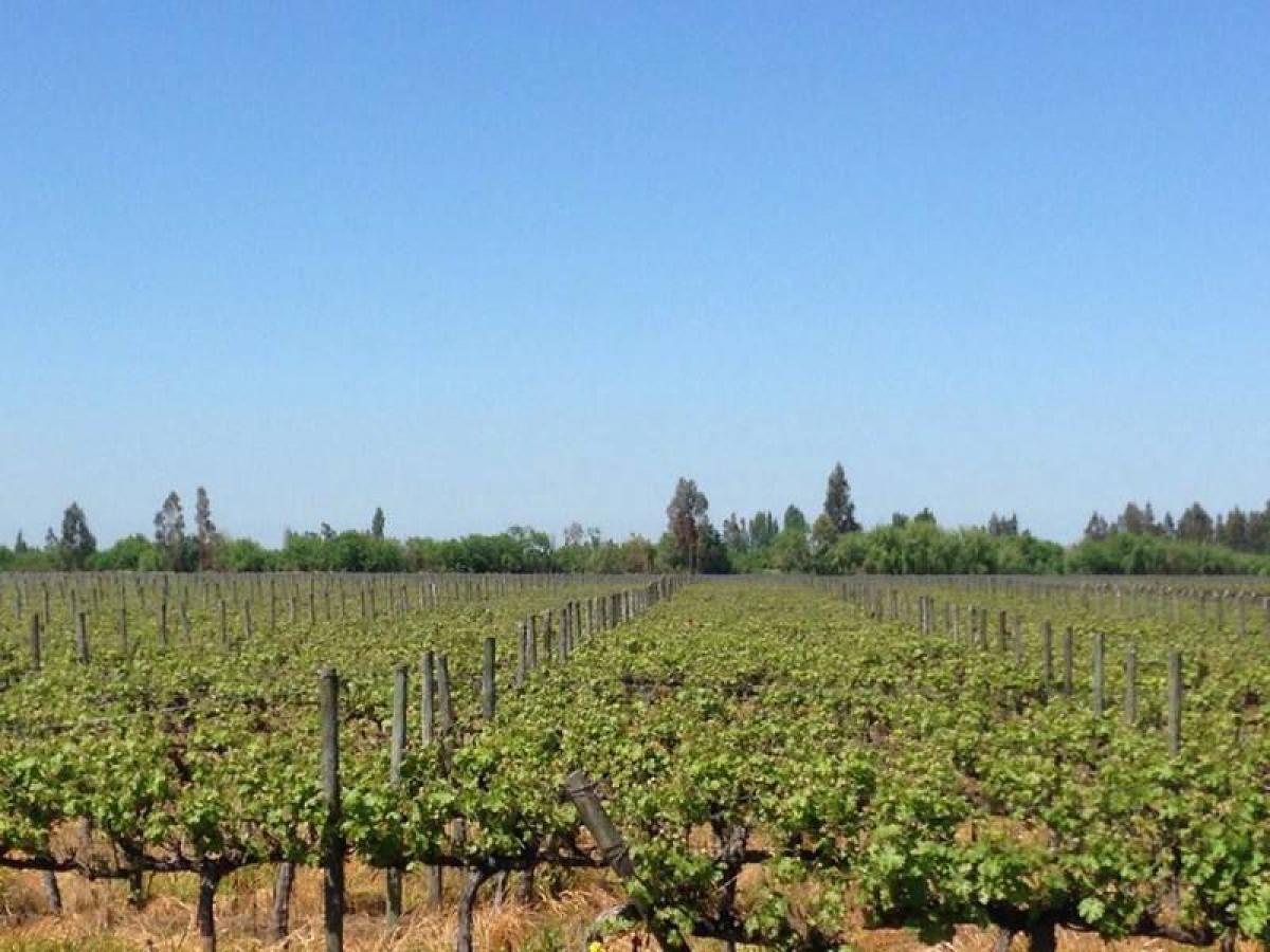 Picture of Residential Land For Sale in Region De O'Higgins, O'Higgins, Chile