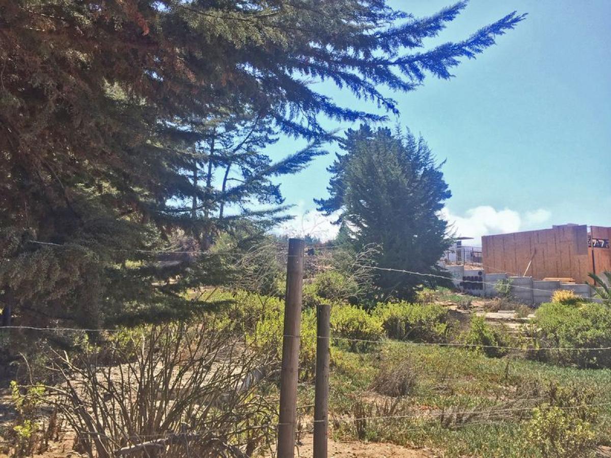 Picture of Residential Land For Sale in Region De Valparaiso, Valparaiso, Chile
