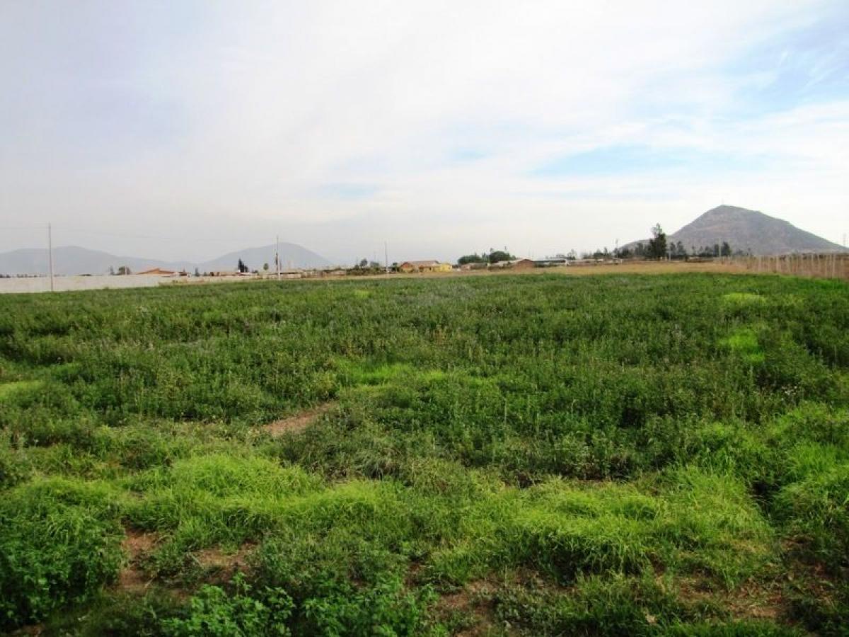 Picture of Residential Land For Sale in Region De Coquimbo, Coquimbo, Chile