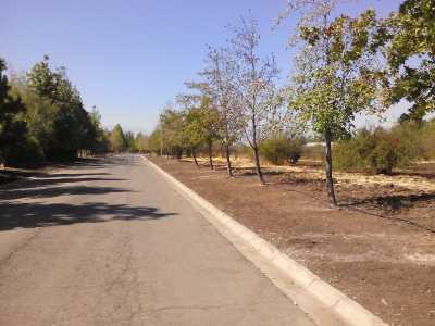 Residential Land For Sale in Chacabuco, Chile