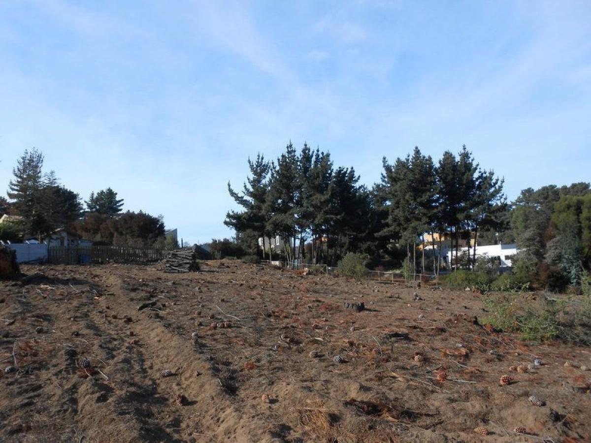 Picture of Residential Land For Sale in Region De Valparaiso, Valparaiso, Chile
