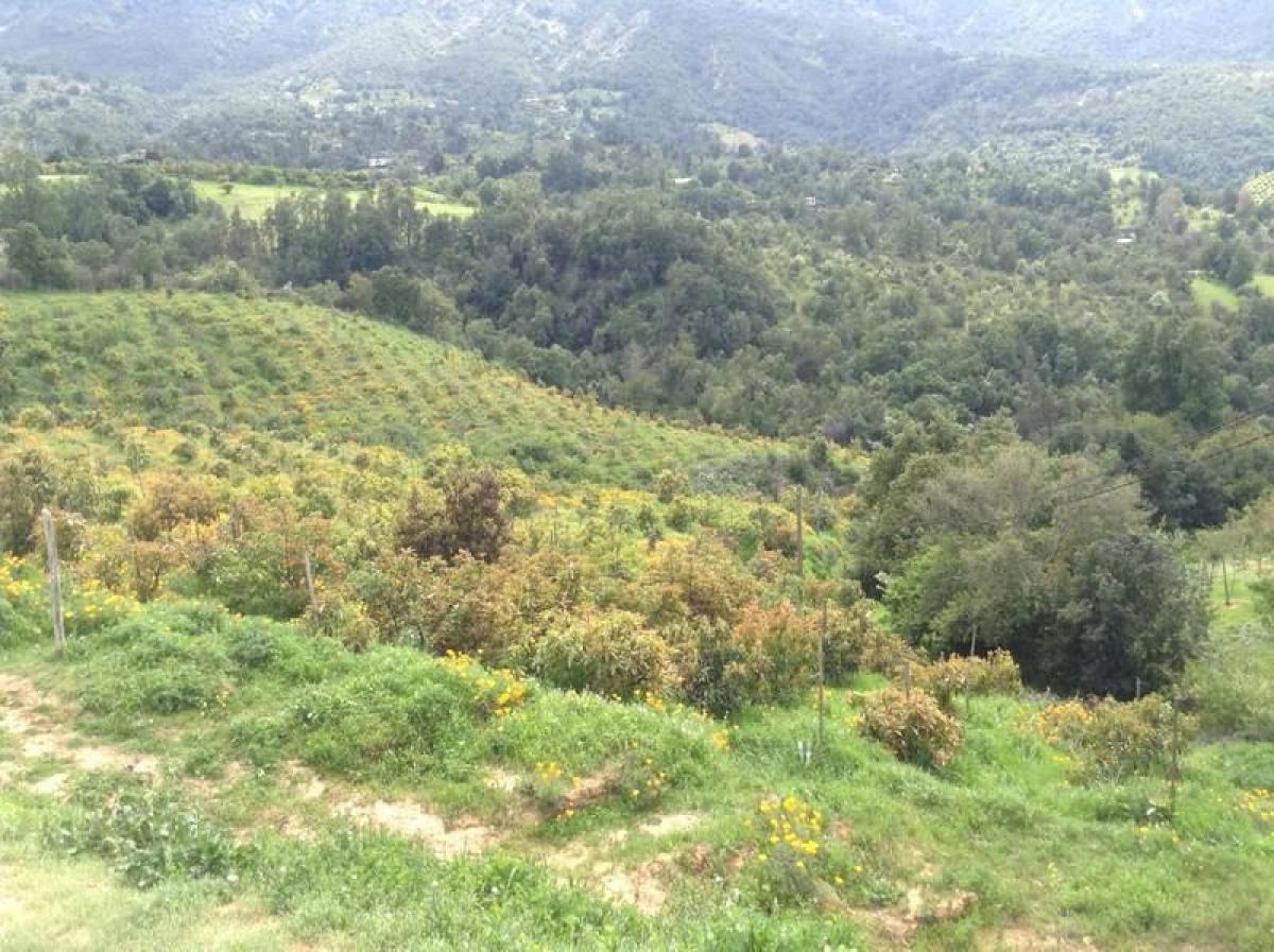 Picture of Residential Land For Sale in Region De Valparaiso, Valparaiso, Chile