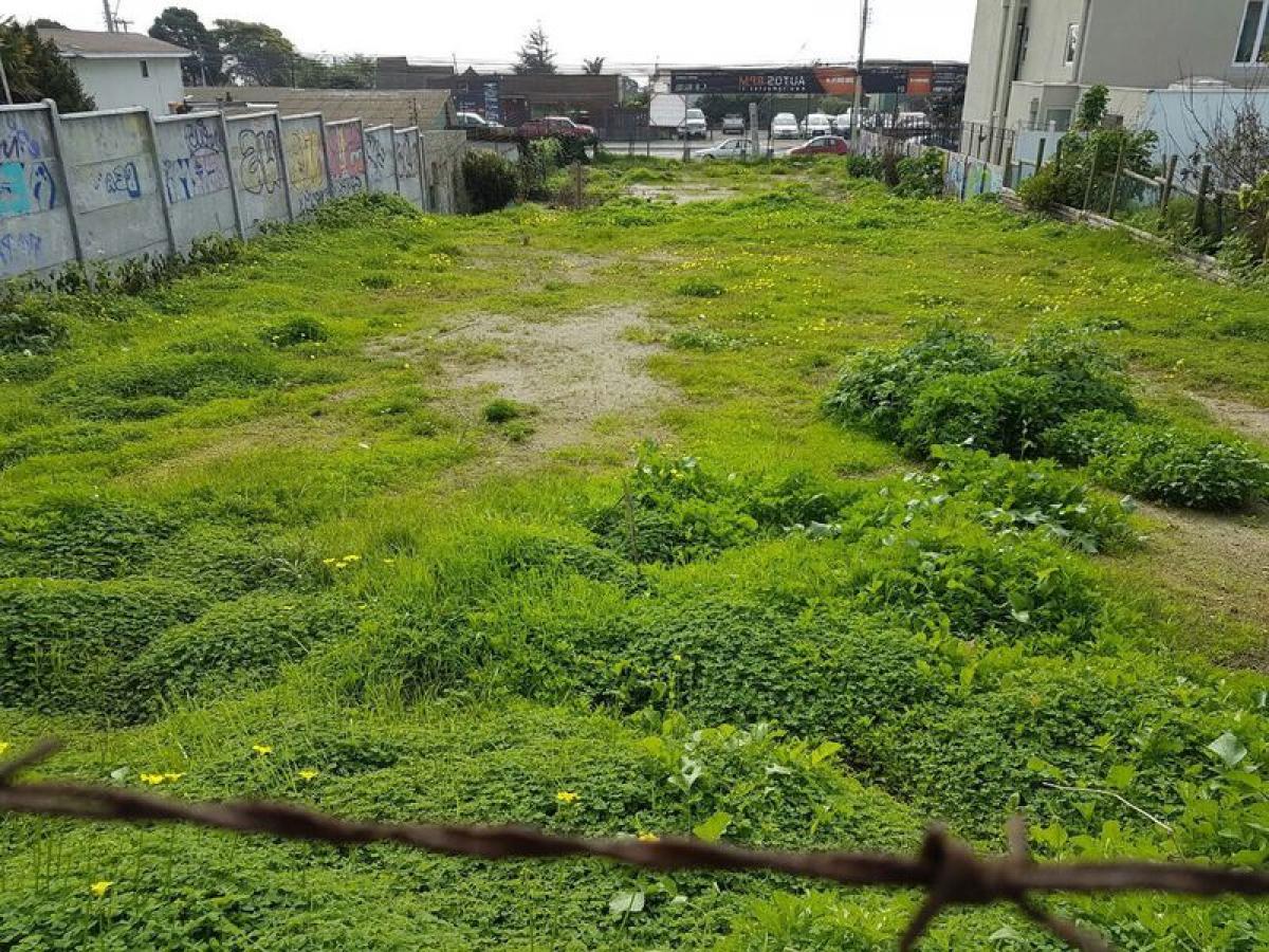 Picture of Residential Land For Sale in Region De Valparaiso, Valparaiso, Chile