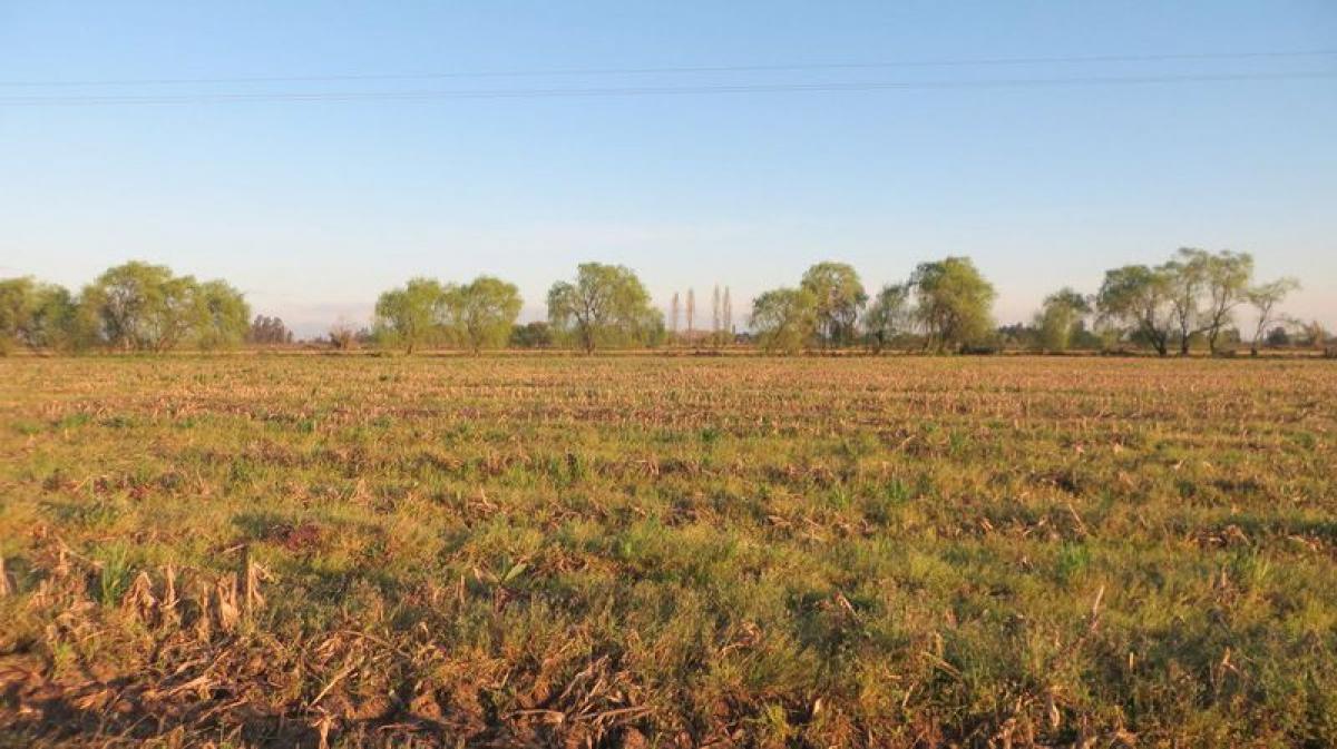 Picture of Residential Land For Sale in Region Del Maule, Maule, Chile