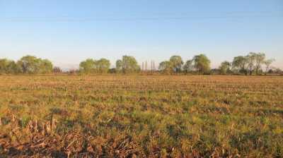 Residential Land For Sale in 