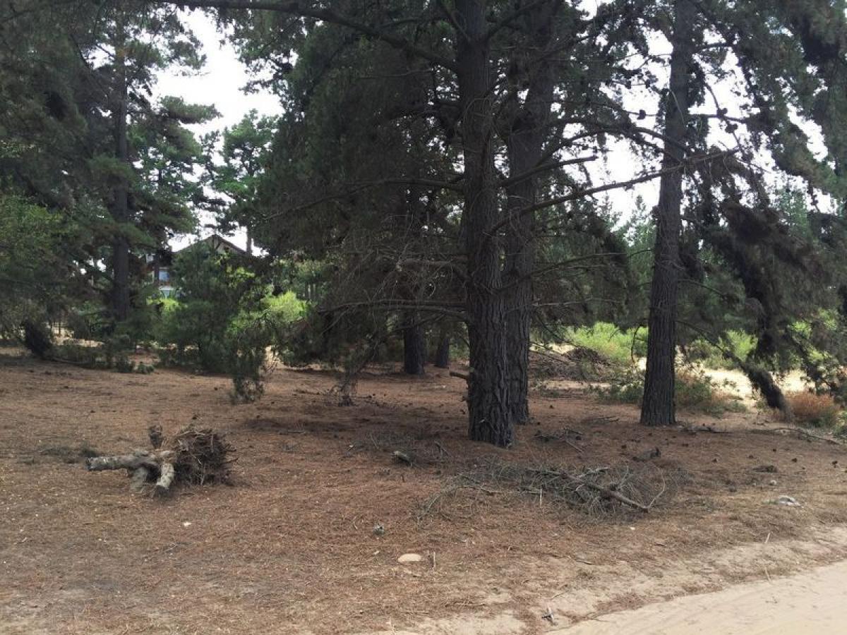 Picture of Residential Land For Sale in Region De Valparaiso, Valparaiso, Chile