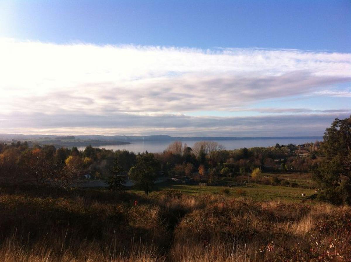 Picture of Residential Land For Sale in Region De Los Rios, Los Rios, Chile
