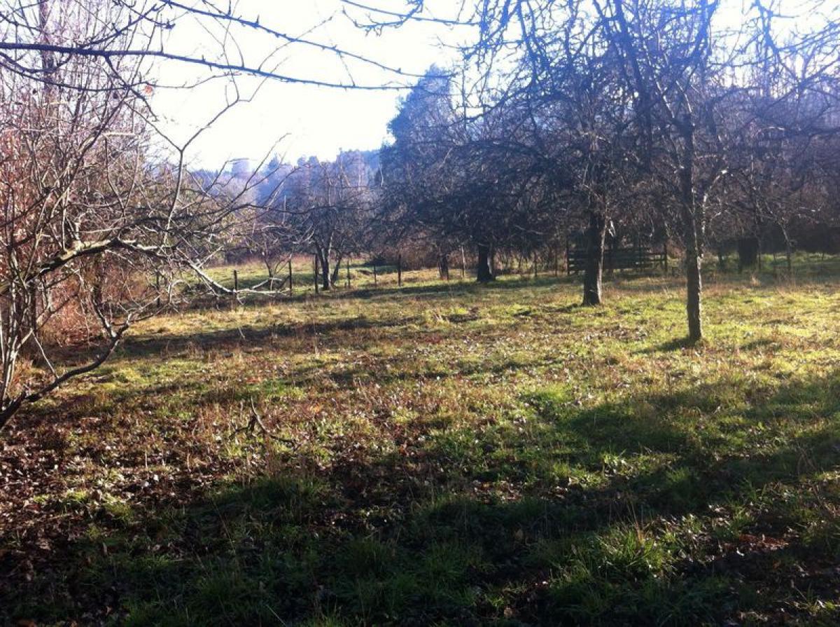 Picture of Residential Land For Sale in Region De Los Rios, Los Rios, Chile