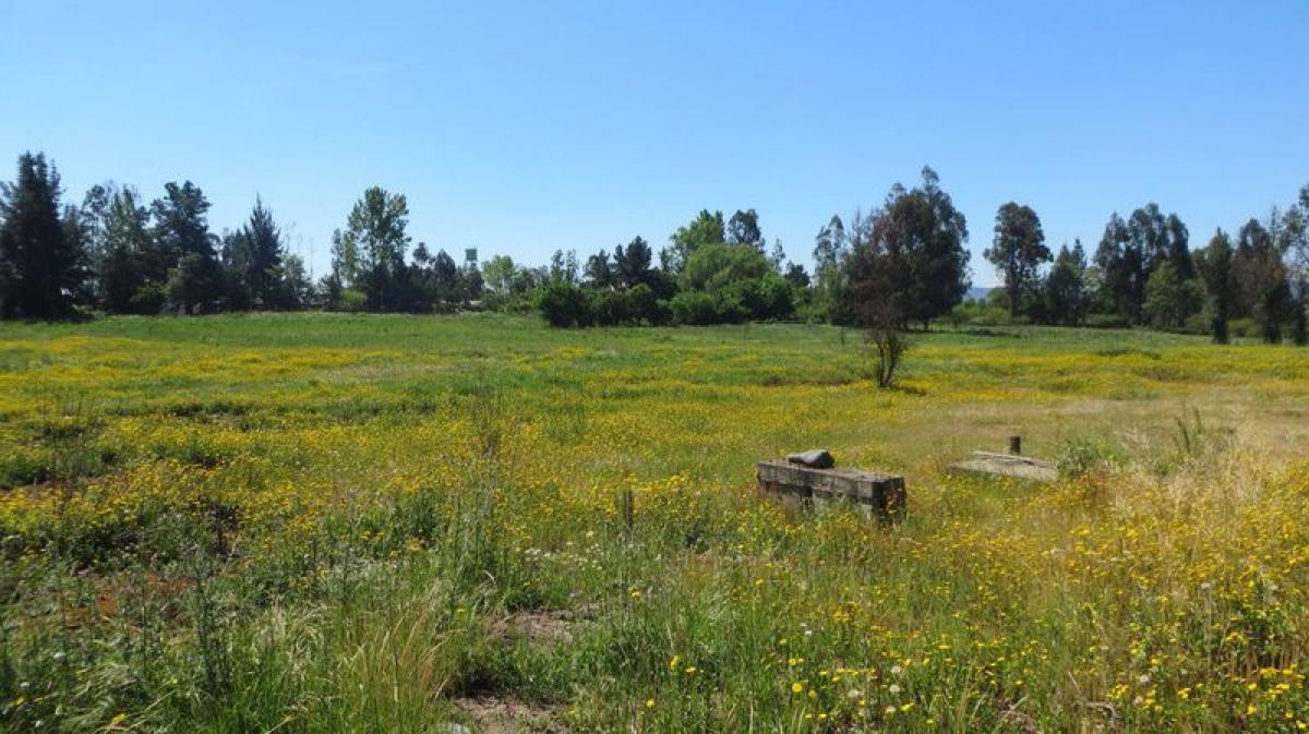 Picture of Residential Land For Sale in Region Del Maule, Maule, Chile