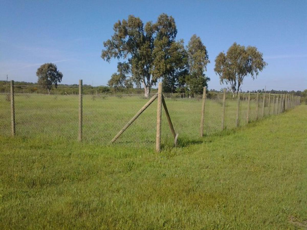 Picture of Residential Land For Sale in Region Del Bio Bio, Bio Bio, Chile