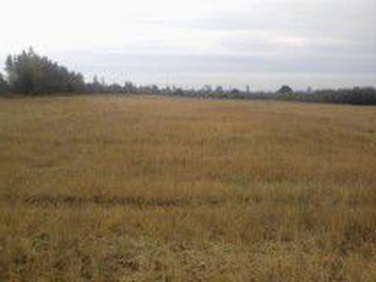 Picture of Residential Land For Sale in Region Del Bio Bio, Bio Bio, Chile